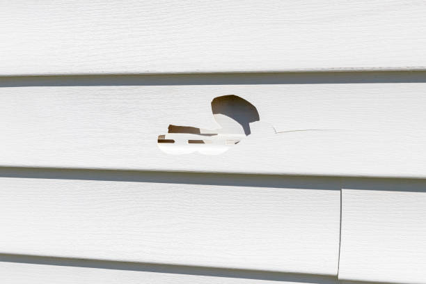 How To Choose The Right Materials for Your Siding Installation in 'Poseyville, IN